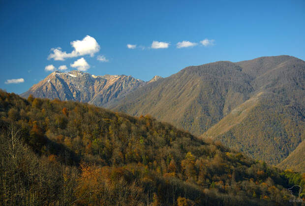 Красная Поляна