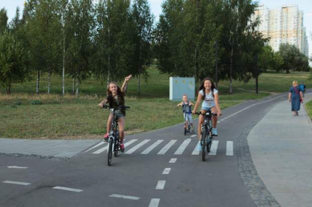 Велодорожка в парке. Фото: Архив редакции