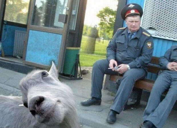 Хочу в кадр!  