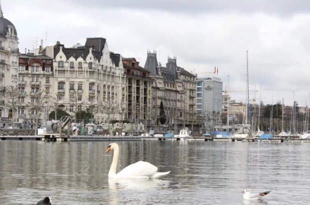 МИД Швейцарии: переговоры по Украине в Женеве проведут в закрытом режиме