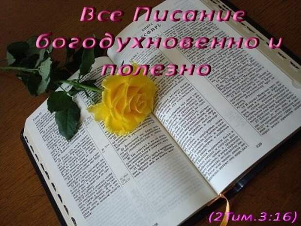 Все писание богодухновенно. Писание богодухновенно и полезно для научения. Всё Писание богодухновенно и полезно для научения. Писание вдохновлено Богом. Библия Богодухновенная книга.