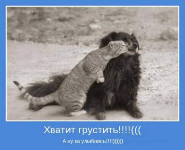 Мотиваторы к пятнице.