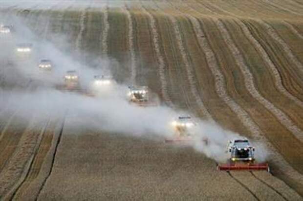 Combines harvest wheat in a field near the village of Suvorovskaya in Stavropol Region, Russia July 17, 2021. Picture taken July 17, 2021. REUTERS/Eduard Korniyenko 