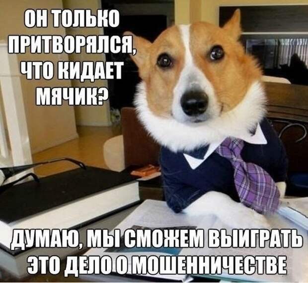 Шутки и юмор без смысловой нагрузки