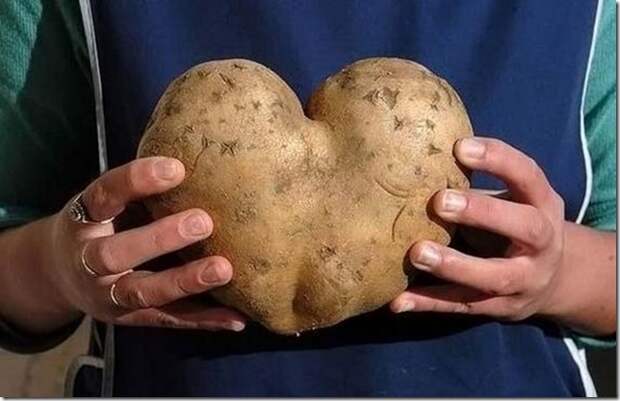 unusual-fruit-and-vegetables15