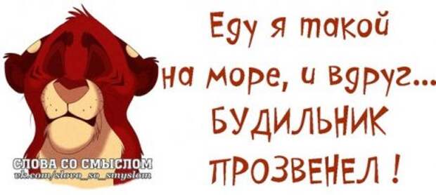 Позитивные фразочки...