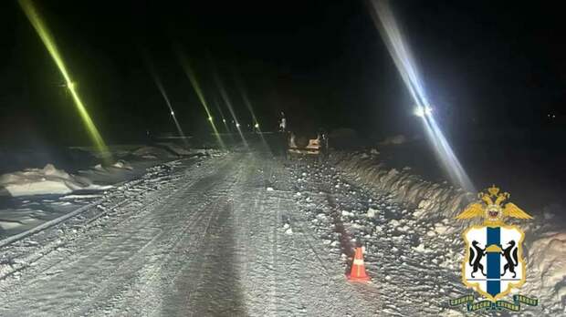 Место смертельного ДТП / Фото: МВД Новосибирской области