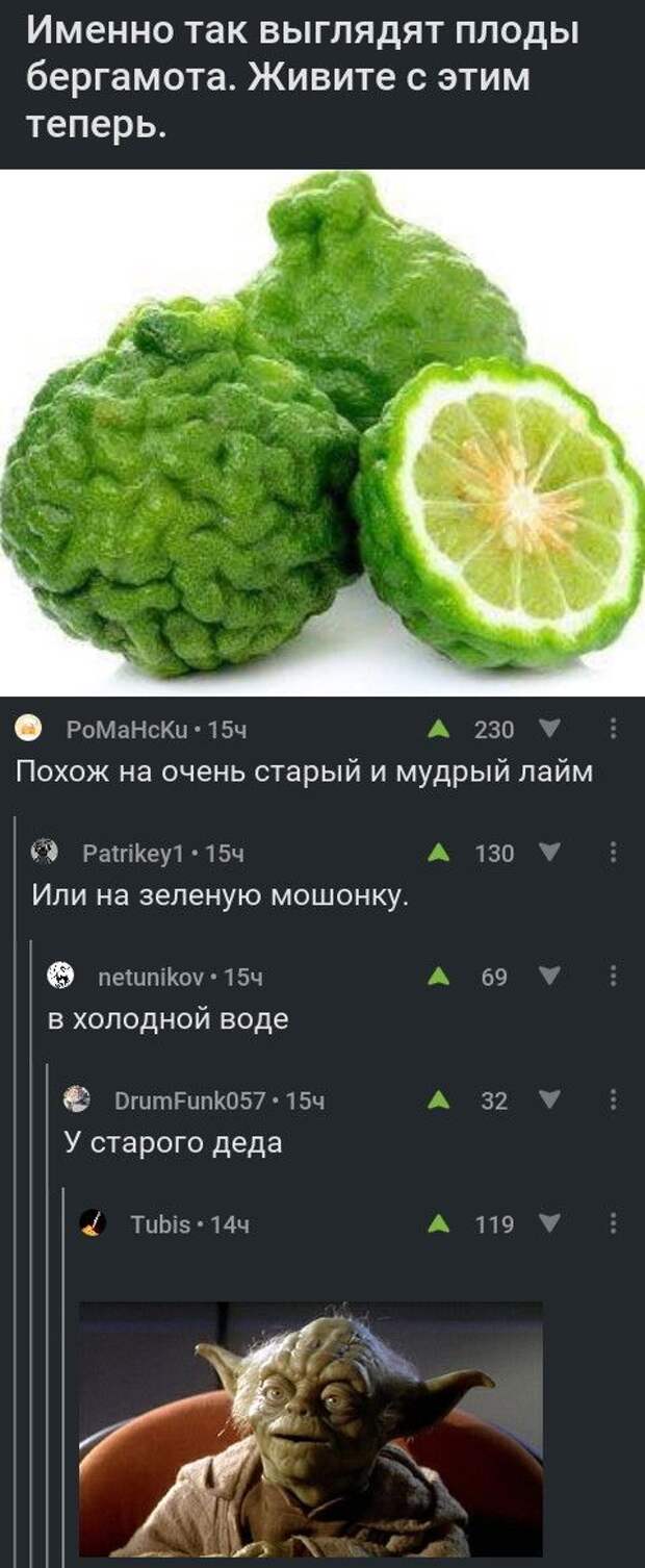 Отборная порция юмора из социальных сетей (30 скриншотов)