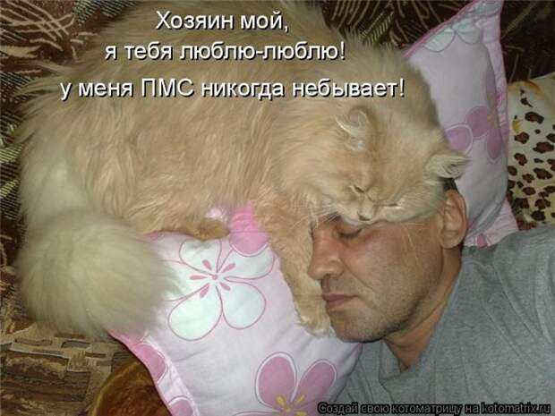 Трудно быть женщиной.... женщины, юмор