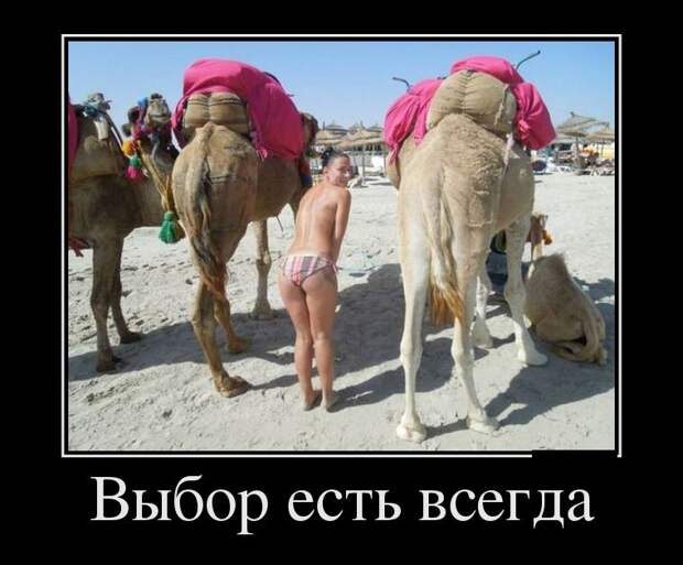 Забавные и прикольные демотиваторы для настроения (10 фото)
