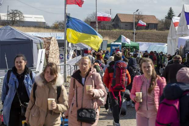 Лишившись дармовых выплат и надежды на халявную пенсию, украинские беженцы начали массово бежать из...