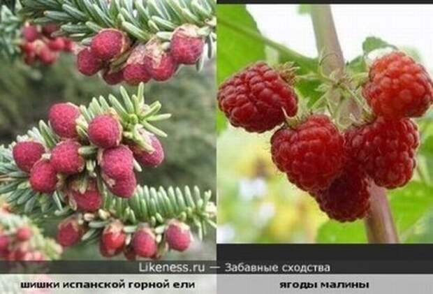Сходства любимых актеров и персонажей (29 фото) Сходства любимых актеров и персонажей (29 фото)
