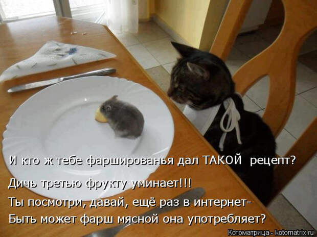 kotomatritsa_SB (700x524, 334Kb)