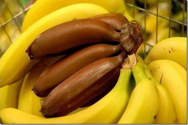 unusual-fruit-and-vegetables23