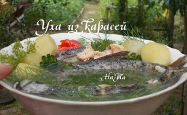 Фото к рецепту: Уха из карасей Фото к рецепту: Уха из карасей