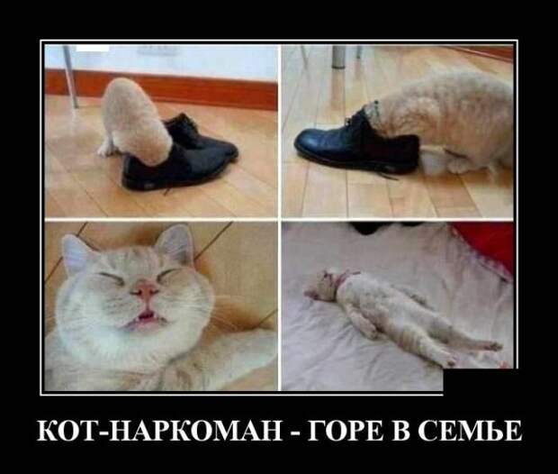 Демотиваторы (30 фото)