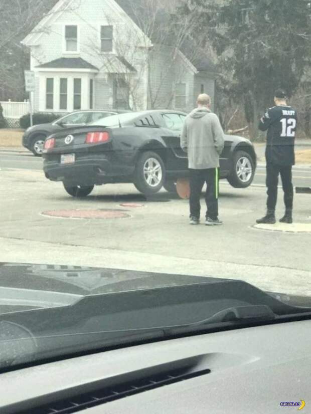 Нелепые ДТП Нелепые ДТП