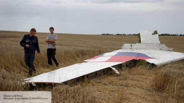 Голландский журналист раскрыл, что думают родственники жертв о деле MH17 Голландский журналист раскрыл, что думают родственники жертв о деле MH17
