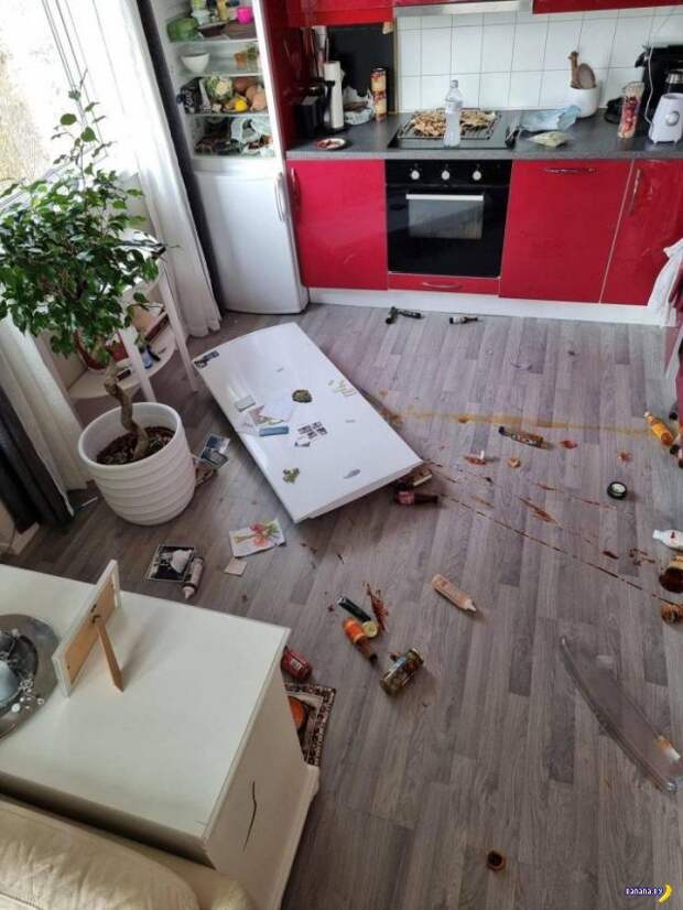 Прикольные картинки - 2798 Прикольные картинки - 2798
