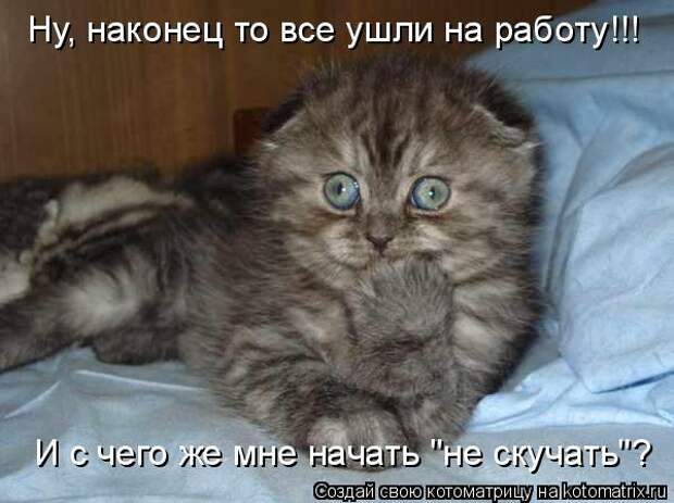 Давайте улыбаться вместе! :) (24улыбоки)