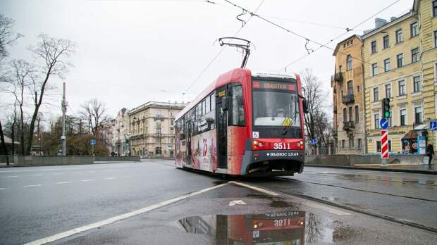 Остановки трамваев в Петербурге уберут с проезжей части