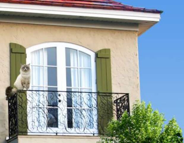 Классификация окон и их замена