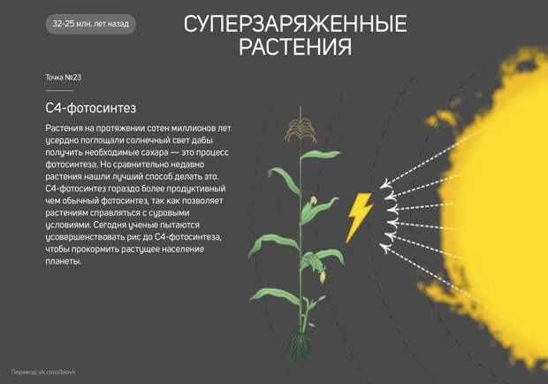 www.vsyako.net