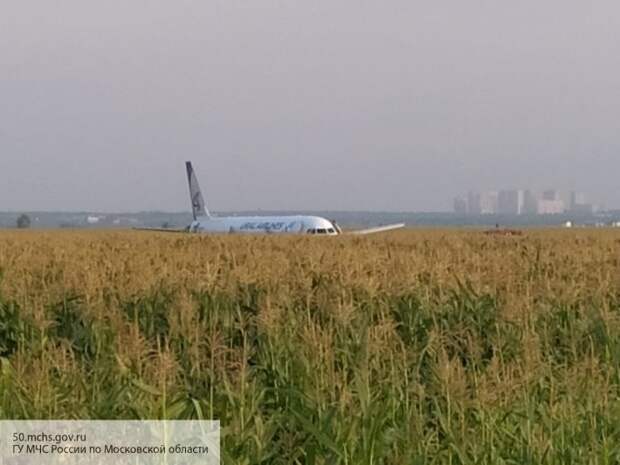 Спасенные пассажиры рейса Москва-Симферополь рассказали о жесткой экстренной посадке