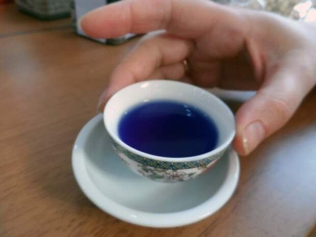 Картинки по запросу синий чай из тайланда