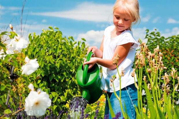 Ребёнок на даче — учимся азам огородничества и не скучаем