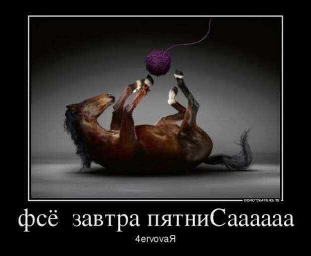 Демотиваторы они опять с нашими комментариями.