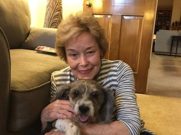 13-year-old-dog-dumped-on-lawn-with-a-sad-note-seeks-help-5afe469f2cda7__605