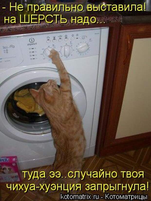 Лучшие котоматрицы недели Лучшие котоматрицы недели