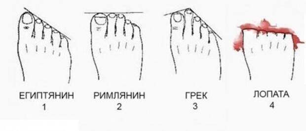 Забей на дождь - смотри приколы.