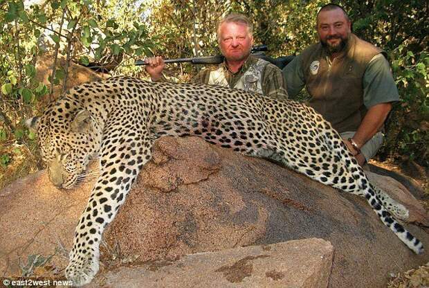 Бывший хирург зарабатывает $1 миллион в год на организации VIP-охоты в Африке бизнес, бизнесмены, дикие животные, животные, звери, охота, охотники, природа