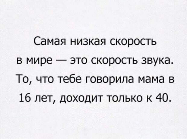 Двадцать лучших шуток недели в картинках