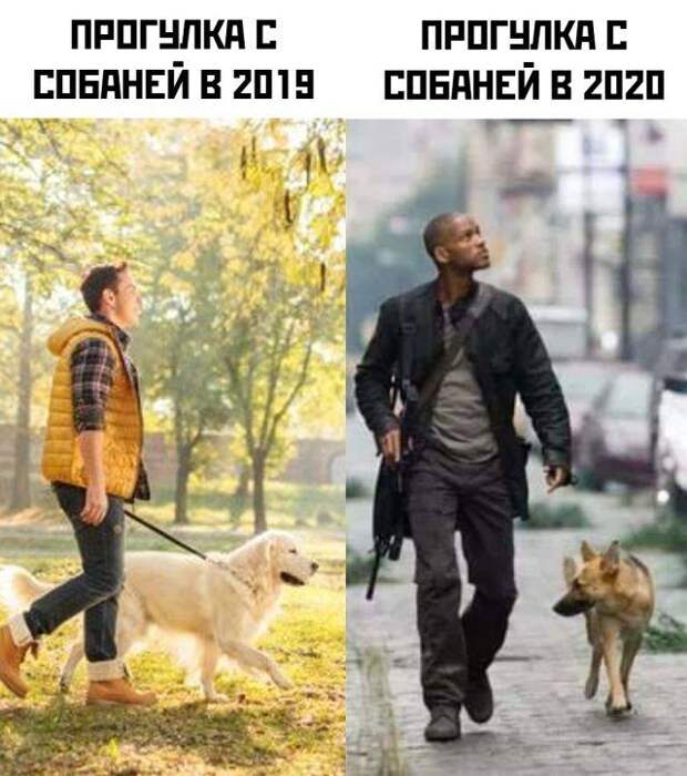 Свежие приколы