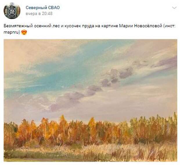 Художница запечатлела безмятежный лес в Северном
