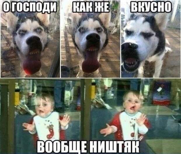Смешные фотомемы