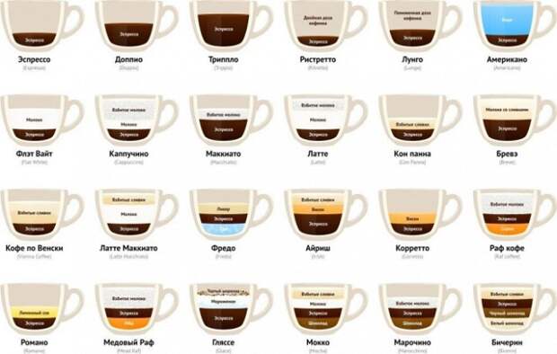 инфографика виды кофе