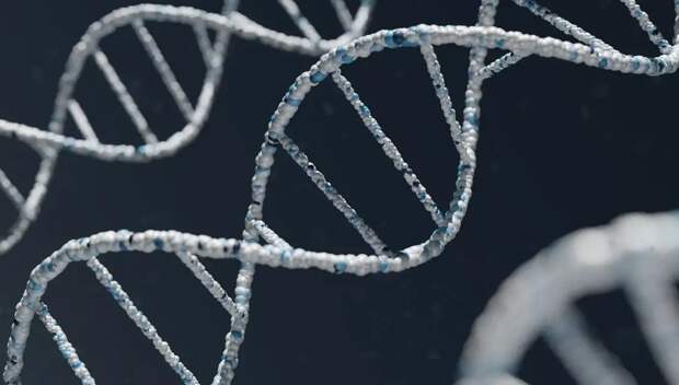 Госдума приняла закон об обязательной геномной регистрации силовиков