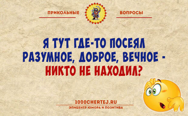 Прикольные вопросы. Смешные вопросы. Самые смешные вопросы. Вопрос смешно.