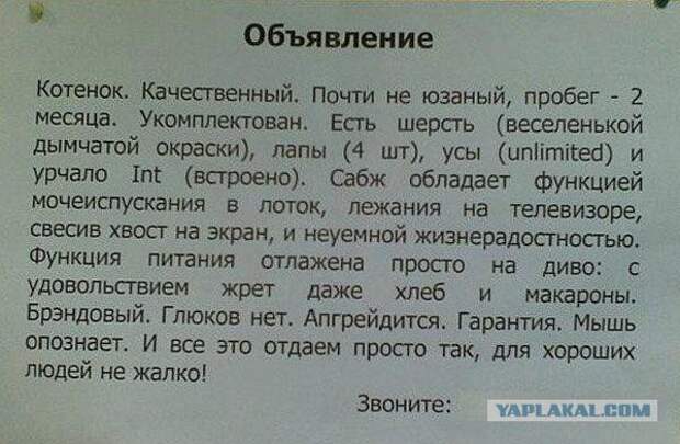 Надписи и объявления с просторов