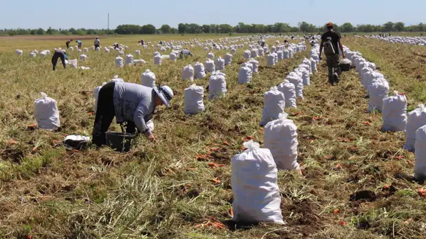 Сельхозпредприятия Крыма зовут на работу