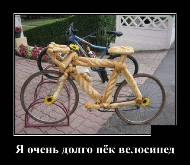 Демотиваторы (30 фото)