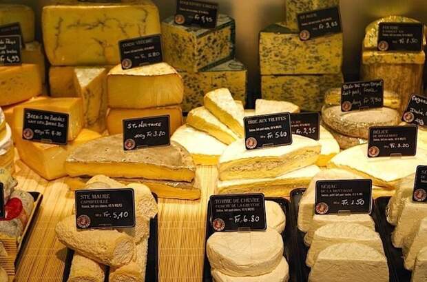 Швейцария и ее обитатели Швейцария и ее обитатели