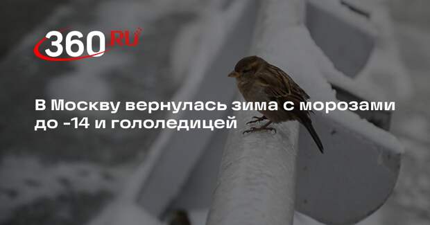 Синоптик Леус: в Москву снова пришли морозы и сильная гололедица