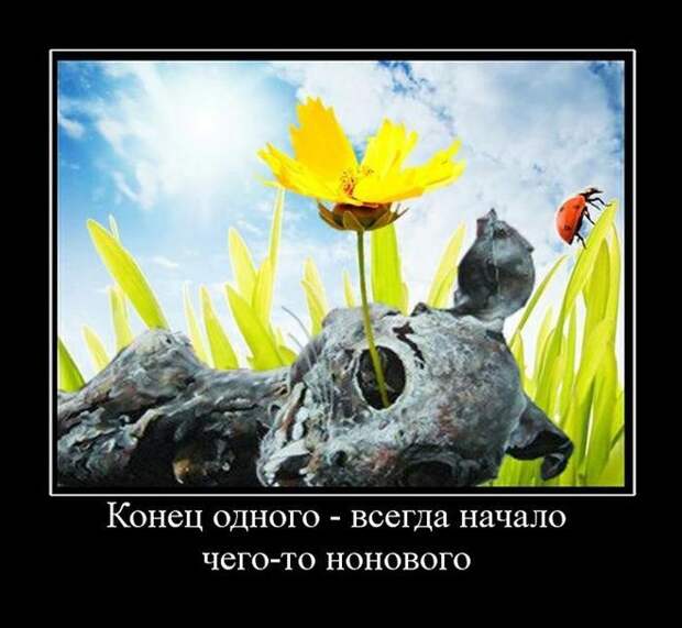 Сборник демотивационных приколов Сборник демотивационных приколов