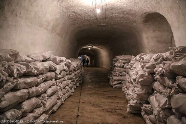 Блог - Ямальский мерзлотник — крупнейший природный холодильник в мире, где можно заблудиться Ямальский мерзлотник — крупнейший природный холодильник в мире, где можно заблудиться