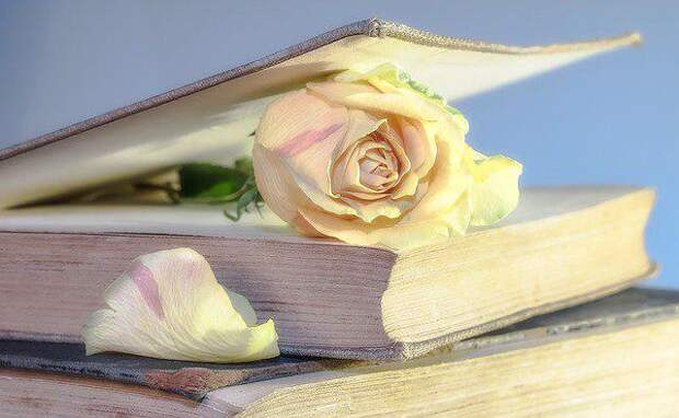Книга. Фото pixabay.com